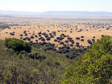Parque Nacional de Cabañeros, el Serengeti español Parque Nacional de Cabañeros, el Serengeti español