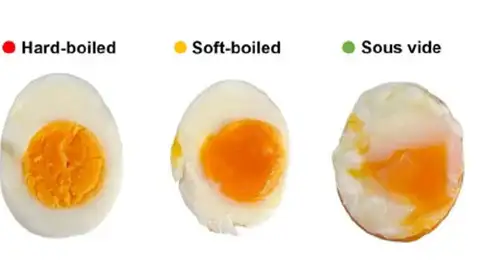 Huevos sometidos a diferentes técnicas de cocción Huevos sometidos a diferentes técnicas de cocción