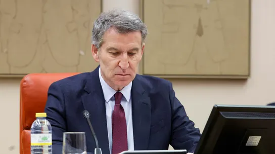 El líder del PP, Alberto Núñez Feijóo El líder del PP, Alberto Núñez Feijóo