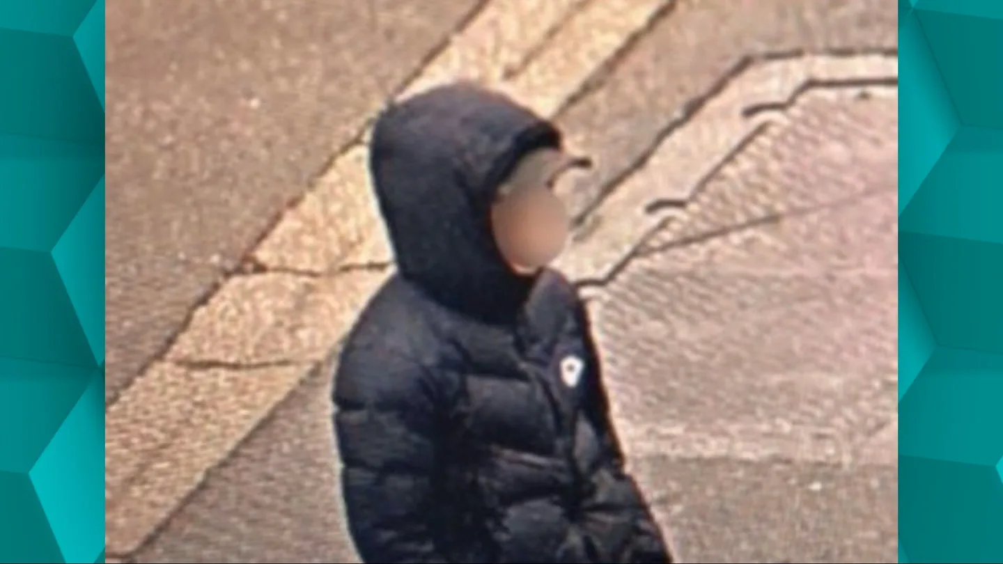 Plumas negro, gorro y heridas en las manos: la Policía francesa busca al asesino de una joven de 11 años Plumas negro, gorro y heridas en las manos: la Policía francesa busca al asesino de una joven de 11 años