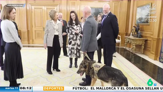 Así son Poppet y Zeus, los perros policía retirados que visitan a la reina Sofía en Zarzuela Así son Poppet y Zeus, los perros policía retirados que visitan a la reina Sofía en Zarzuela