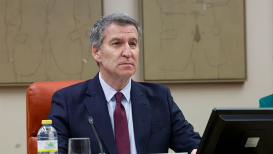 El líder del PP, Alberto Núñez Feijóo, preside la reunión de sus grupos parlamentarios en el Congreso y el Senado El líder del PP, Alberto Núñez Feijóo, preside la reunión de sus grupos parlamentarios en el Congreso y el Senado
