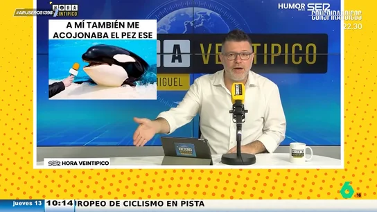 Héctor de Miguel, sobre el pez diablo negro de Tenerife: "Es pequeño, pero es todo dientes, como Almeida" Héctor de Miguel, sobre el pez diablo negro de Tenerife: "Es pequeño, pero es todo dientes, como Almeida"
