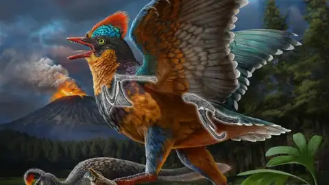 Reconstrucción del ave jurásica Baminornis zhenghensis Reconstrucción del ave jurásica Baminornis zhenghensis