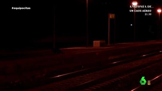 La agresión de la banda del Badoo a un empresario: "Le pusieron una pistola en la cabeza" La agresión de la banda del Badoo a un empresario: "Le pusieron una pistola en la cabeza"