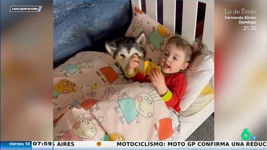 Una niña le cuenta un cuento de 'La patrulla canina' a su perro para que se duerma Una niña le cuenta un cuento de 'La patrulla canina' a su perro para que se duerma