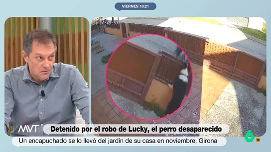 Giro en el caso del robo de Lucky: se detiene a un sospechoso pero el perro no aparece Una asociación animalista de la zona consideran que la desaparición del animal podría estar relacionada con una banda organizada que, entre noviembre y diciembre, se habrían llevado nueve perros de la misma raza que Lucky.