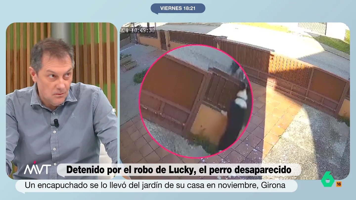 Giro en el caso del robo de Lucky: se detiene a un sospechoso pero el perro no aparece Una asociación animalista de la zona consideran que la desaparición del animal podría estar relacionada con una banda organizada que, entre noviembre y diciembre, se habrían llevado nueve perros de la misma raza que Lucky.