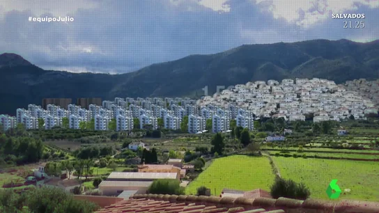 El proyecto urbanístico que Julio Iglesias pretendía construir en una zona con 121 especies protegidas: "Nos hubiésemos quedado sin monte" El proyecto urbanístico que Julio Iglesias pretendía construir en una zona con 121 especies protegidas: "Nos hubiésemos quedado sin monte"