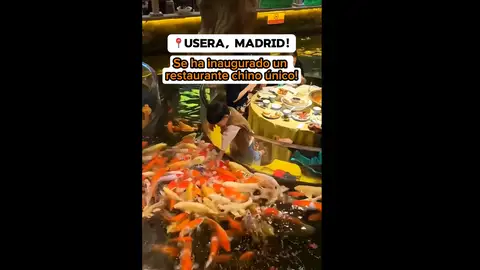 Restaurante carpas Restaurante carpas