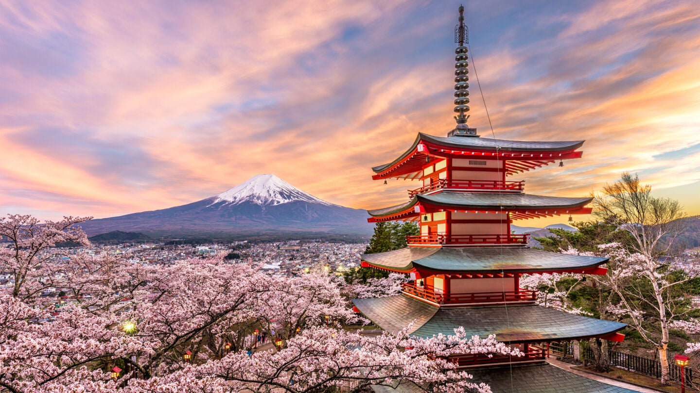 Cerezos en flor en Jap&oacute;n