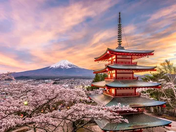 Cerezos en flor en Japón Cerezos en flor en Japón