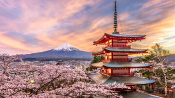 Cerezos en flor en Japón