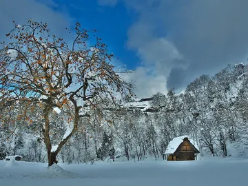 Shirakawa-go, Japón Shirakawa-go, Japón