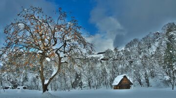 Shirakawa-go, Japón