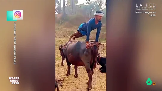 Así hace flexiones un granjero de India: "Oye, que no vean esto los del CrossFit..." El hombre demuestra que es posible hacer deporte en cualquier sitio y sin necesidad de utilizar modernas máquinas o equipamiento de último modelo. No te pierdas la curiosa manera de ejercitarse de este señor en el vídeo principal.