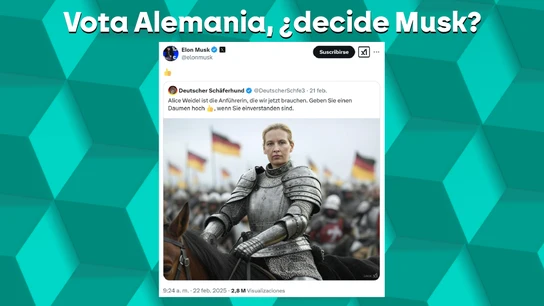 Tuit de apoyo de Elon Musk a la candidata ultraderechista de Alemania Tuit de apoyo de Elon Musk a la candidata ultraderechista de Alemania