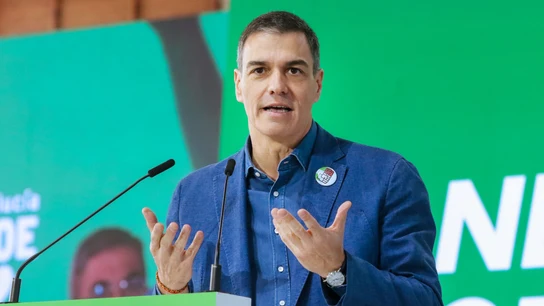 El presidente del Gobierno y secretario general del PSOE, Pedro Sánchez, interviene en Granada El presidente del Gobierno y secretario general del PSOE, Pedro Sánchez, interviene en Granada