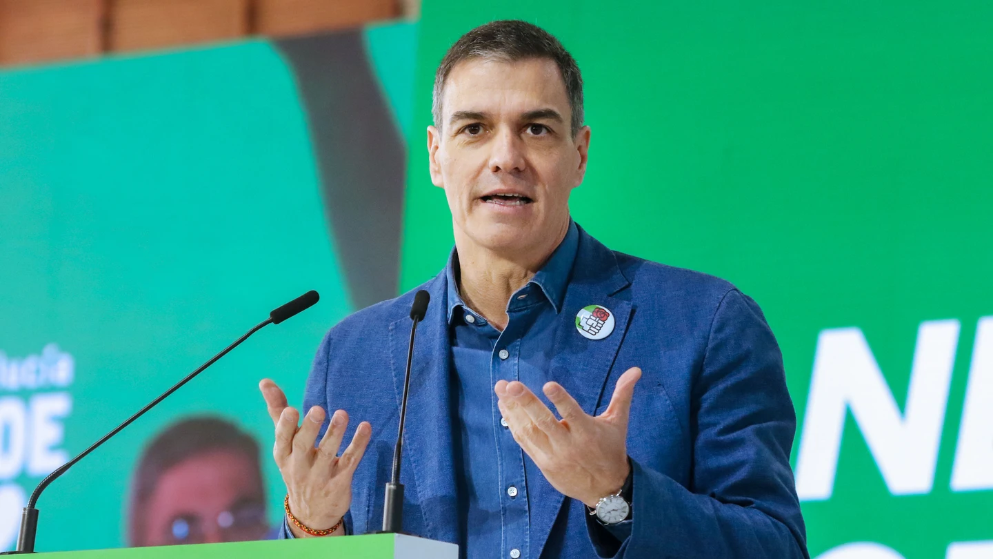 El presidente del Gobierno y secretario general del PSOE, Pedro Sánchez, interviene en Granada El presidente del Gobierno y secretario general del PSOE, Pedro Sánchez, interviene en Granada