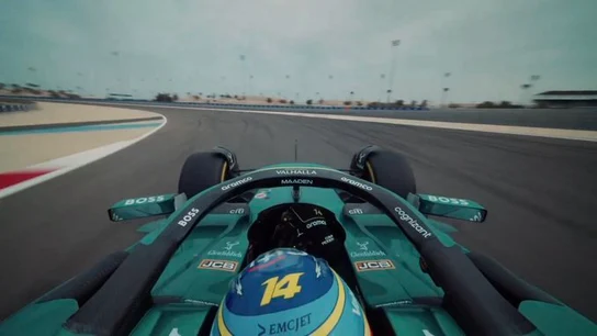 Fernando Alonso Fernando Alonso