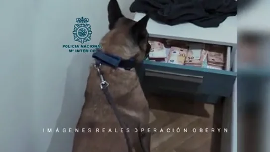 "Si alguien te pide pasta por hacer un casting, ¡huye!": así operó la organización detrás de la web fraudulenta de 'Juego de Tronos' "Si alguien te pide pasta por hacer un casting, ¡huye!": así operó la organización detrás de la web fraudulenta de 'Juego de Tronos'