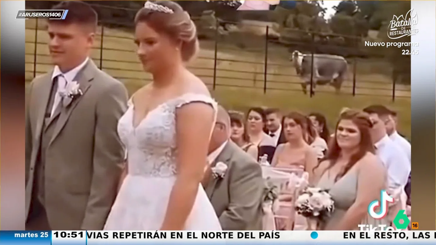Una vaca irrumpe de forma inesperada en una boda en el y "si alguien tiene algo que decir, que hable ahora o calle para siempre" Una vaca irrumpe de forma inesperada en una boda en el y "si alguien tiene algo que decir, que hable ahora o calle para siempre"