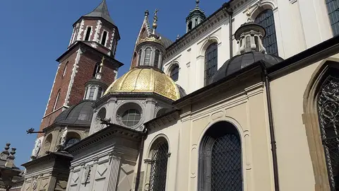 Detalle de la Catedral de Wawel Detalle de la Catedral de Wawel