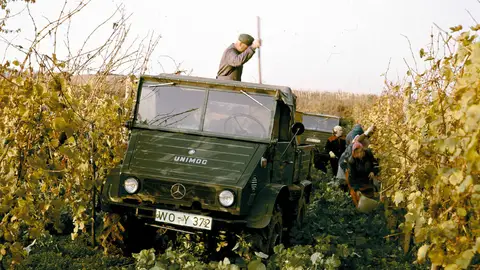 Mercedes Unimog Mercedes Unimog