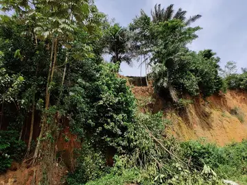 Zanja excavada para llevar a cabo el estudio Zanja excavada para llevar a cabo el estudio