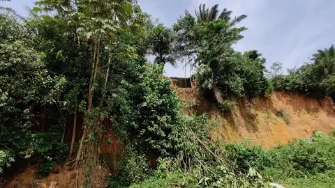 Zanja excavada para llevar a cabo el estudio Zanja excavada para llevar a cabo el estudio