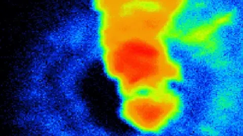 Hierro triturado bajo el microscopio Hierro triturado bajo el microscopio