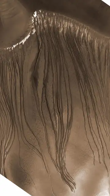 Barrancos activos en la duna Russell Barrancos activos en la duna Russell