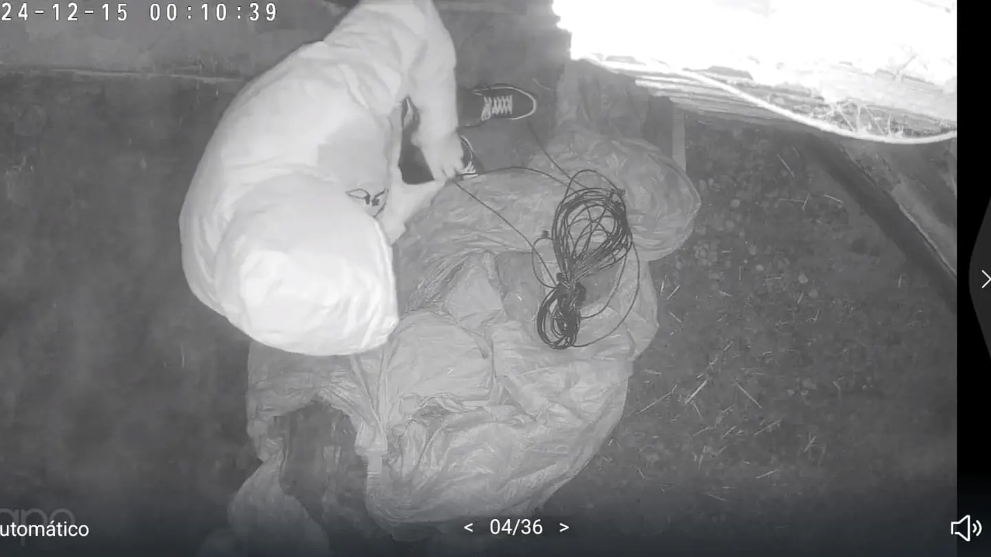 Imágenes de la cámara de seguridad de una de las granjas. Imágenes de la cámara de seguridad de una de las granjas.