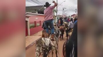 VAQUERO