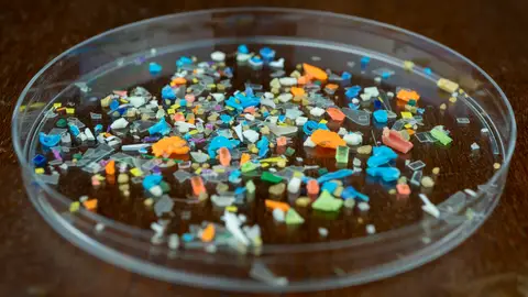 Microplásticos Microplásticos