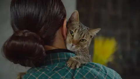 Dueño abrazando a su gato Dueño abrazando a su gato