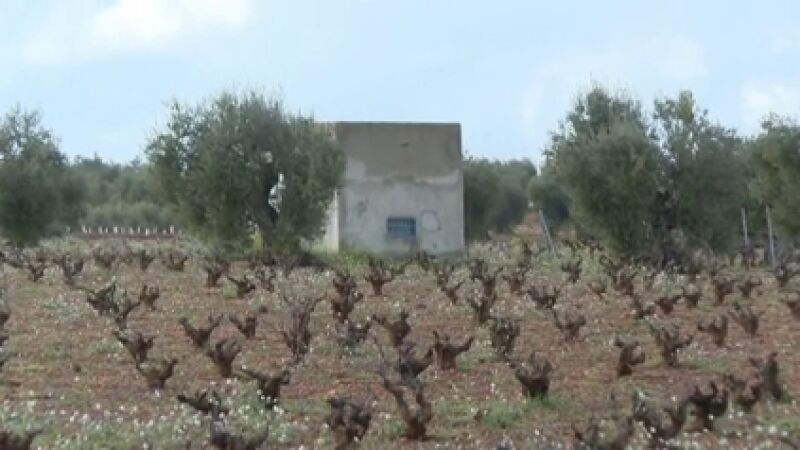 La consejera extremeña de Agricultura se beneficia de unas ayudas para su terreno familiar que ella misma creó