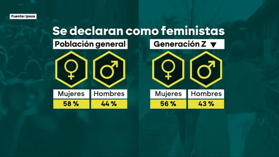 Encuesta feminismo. Encuesta feminismo.