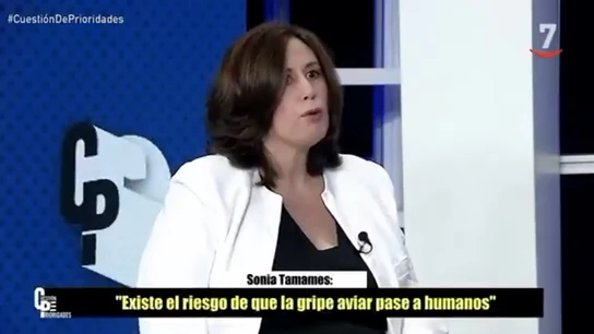 La directora general de Salud Pública de Castilla y León, Sonia Tamames, este miércoles en la televisión regional. La directora general de Salud Pública de Castilla y León, Sonia Tamames, este miércoles en la televisión regional.