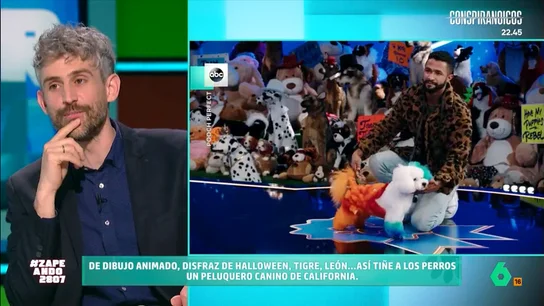 Víctor Algra muy crítico con la moda de teñir el pelo a los perros: "No son peluches ni lienzos" Un peluquero canino afincado en Estados Unidos ha conseguido hacerse famoso gracias a las transformaciones que lleva a cabo utilizando tintes. Así, convierte a los perros en personajes de dibujos animados o animales exóticos.