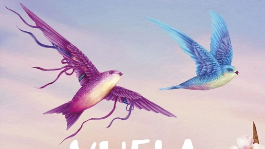 Cubierta de 'Vuela alto', de Marina Marroquí Esclapez y Elisa Ancori Cubierta de 'Vuela alto', de Marina Marroquí Esclapez y Elisa Ancori