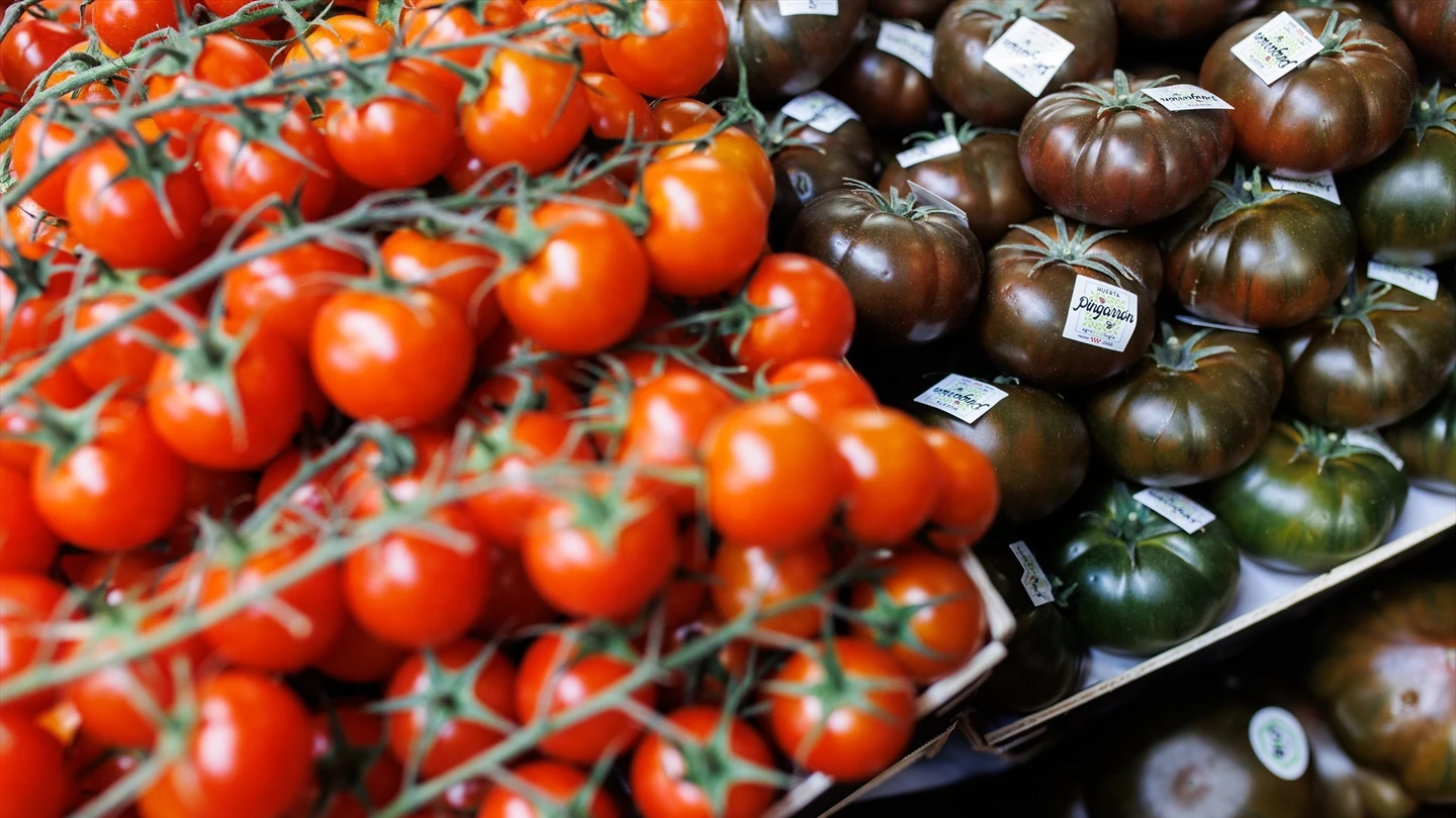 Dos variedades de tomates en un de Madrid. Dos variedades de tomates en un de Madrid.