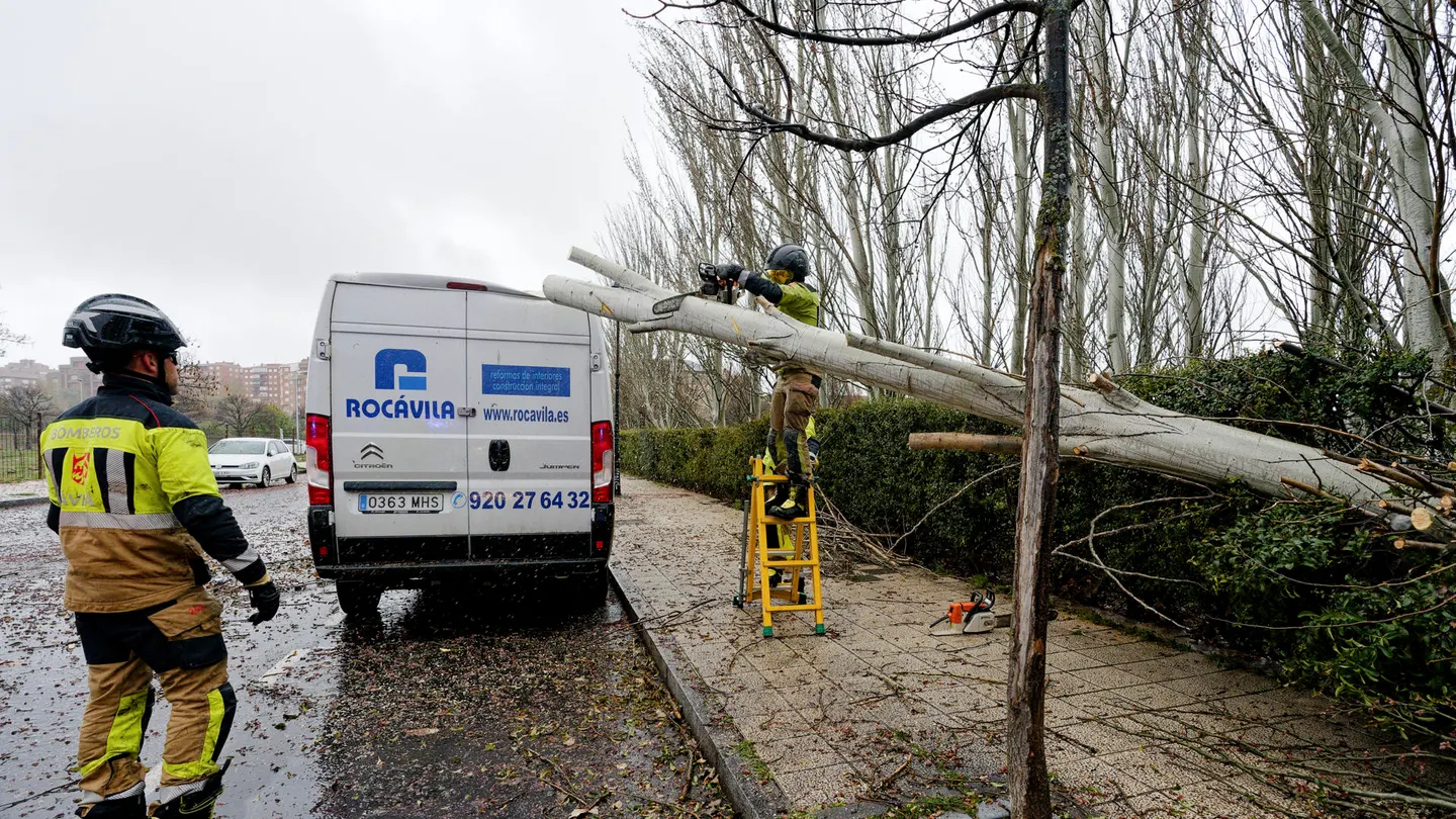 Los bomberos retiran un árbol caído sobre un vehículo a causa del viento en Ávila Los bomberos retiran un árbol caído sobre un vehículo a causa del viento en Ávila