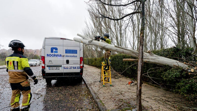 Los bomberos retiran un árbol caído sobre un vehículo a causa del viento en Ávila