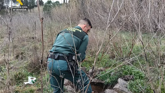 La Guardia Civil detecta 12 pozos "altamente peligrosos" por la ausencia de señalización en Sant Climent (Girona) La Guardia Civil detecta 12 pozos "altamente peligrosos" por la ausencia de señalización en Sant Climent (Girona)
