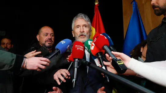 El ministro del Interior, Fernando Grande-Marlaska. El ministro del Interior, Fernando Grande-Marlaska.