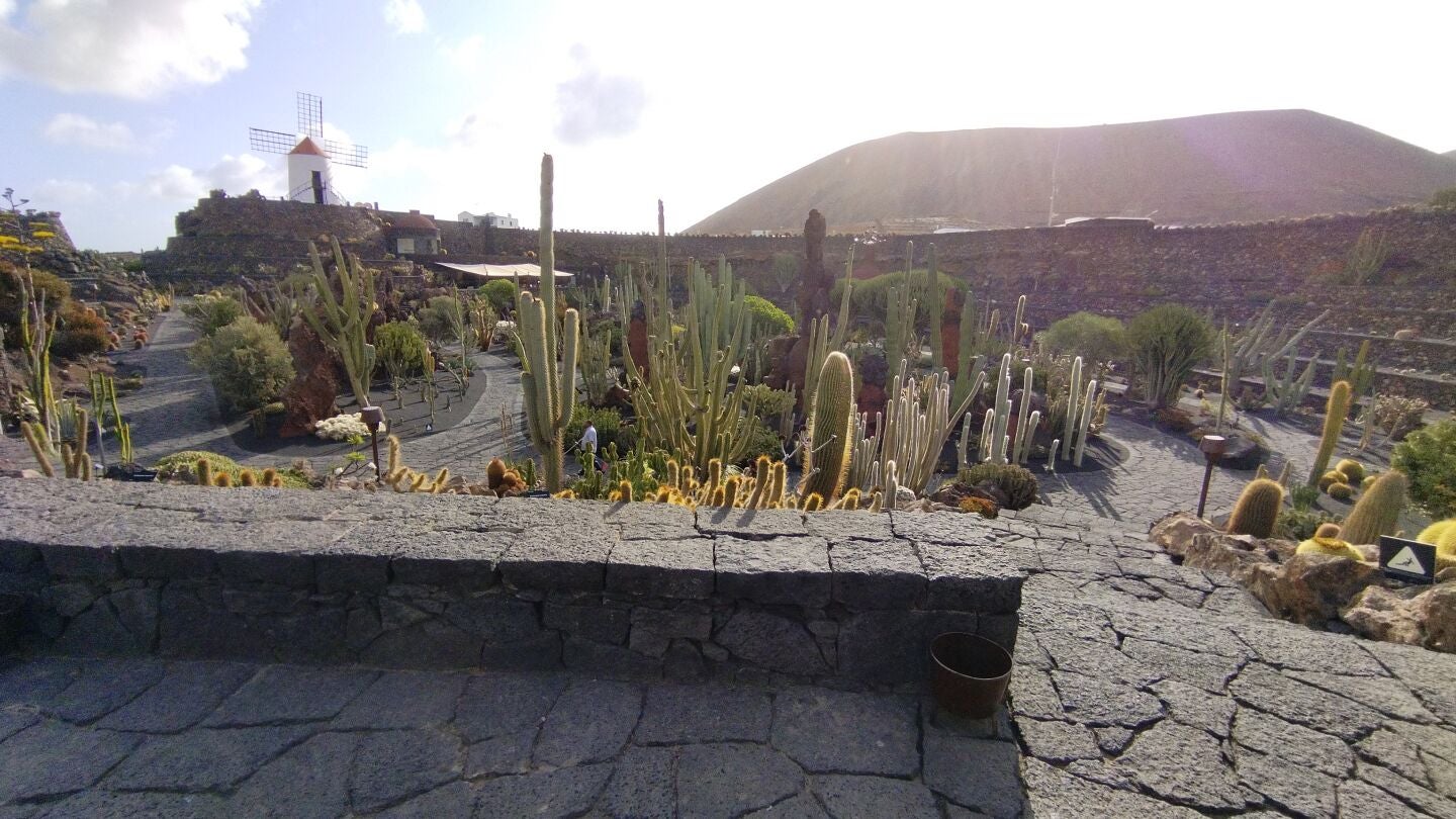 Jard&iacute;n de Cactus