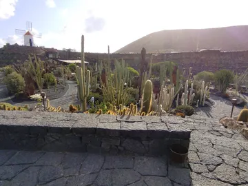 Jardín de Cactus Jardín de Cactus