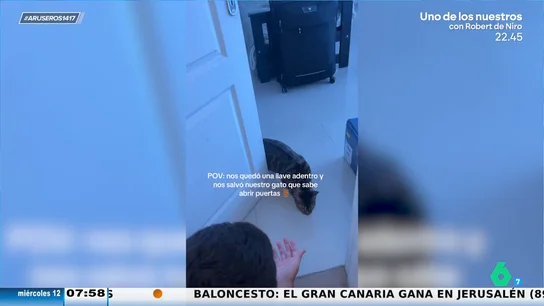 El increíble vídeo viral del gato que les abre la puerta de casa a sus dueños que han olvidado las llaves dentro El increíble vídeo viral del gato que les abre la puerta de casa a sus dueños que han olvidado las llaves dentro