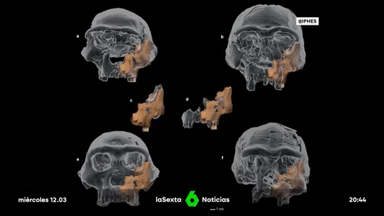 Pink, el rostro del "primer europeo" hallado en Atapuerca: un homínido de más de un millón de años Pink, el rostro del "primer europeo" hallado en Atapuerca: un homínido de más de un millón de años